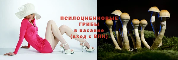 первитин Вяземский