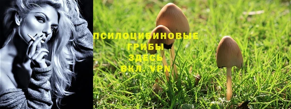 соль курить ск Вязьма