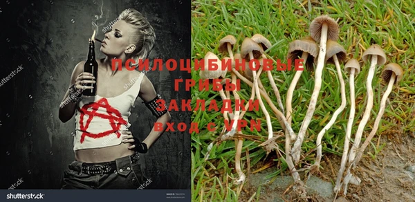 соль курить ск Вязьма