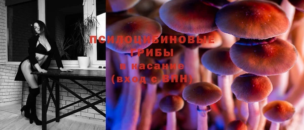 первитин Вяземский